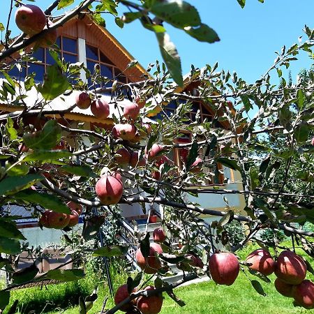 Heavenly Daze Cottage Manali (Himachal Pradesh) Ngoại thất bức ảnh