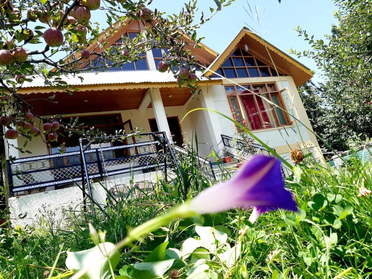 Heavenly Daze Cottage Manali (Himachal Pradesh) Ngoại thất bức ảnh