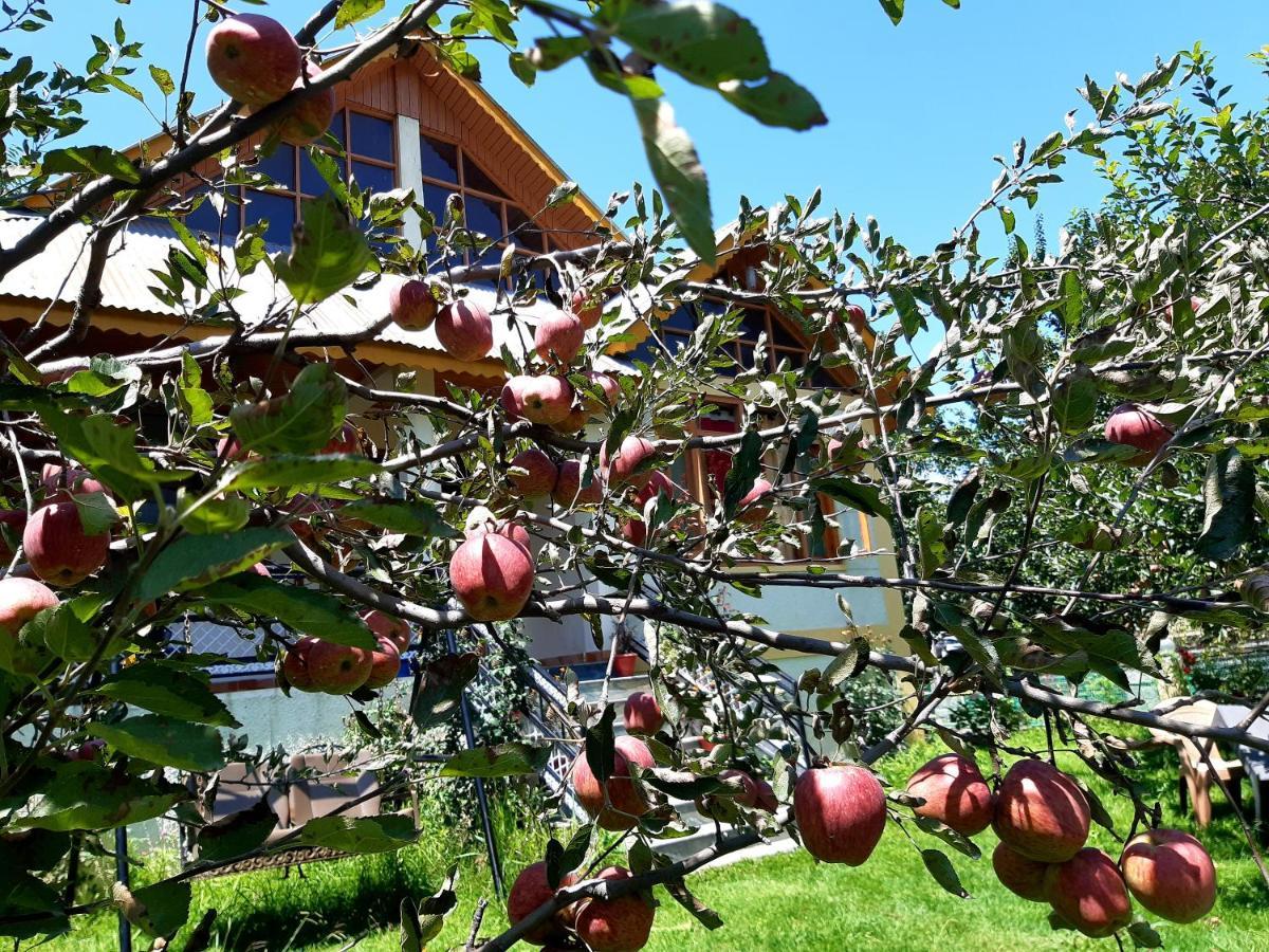 Heavenly Daze Cottage Manali (Himachal Pradesh) Ngoại thất bức ảnh